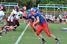 Enlarge photo 391