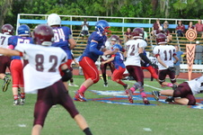 Enlarge photo 394