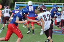 Enlarge photo 395