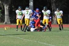 Enlarge photo 15