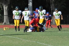 Enlarge photo 16
