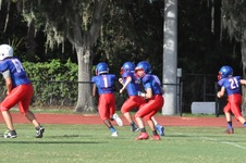 Enlarge photo 20