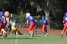 Enlarge photo 22