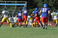 Enlarge photo 31