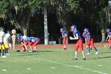 Enlarge photo 35