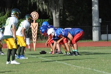 Enlarge photo 37