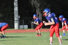 Enlarge photo 41