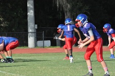 Enlarge photo 42