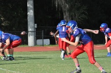 Enlarge photo 43