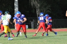 Enlarge photo 45
