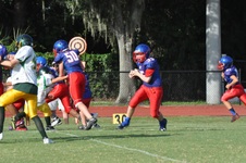 Enlarge photo 47