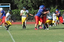 Enlarge photo 53