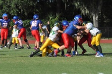 Enlarge photo 59