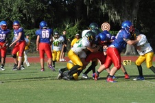 Enlarge photo 60