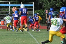Enlarge photo 67