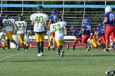 Enlarge photo 70