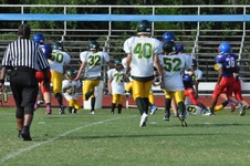 Enlarge photo 71