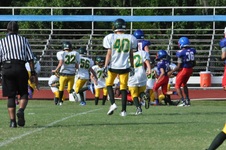 Enlarge photo 72