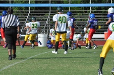 Enlarge photo 73
