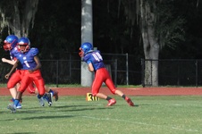 Enlarge photo 79