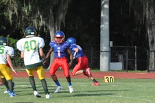 Enlarge photo 81