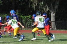 Enlarge photo 83