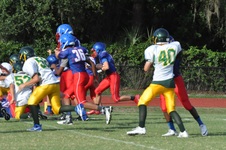 Enlarge photo 85