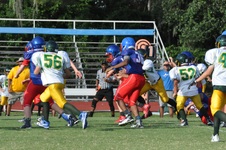 Enlarge photo 88