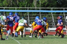 Enlarge photo 90