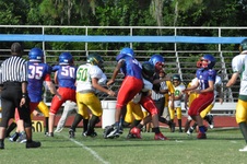 Enlarge photo 91