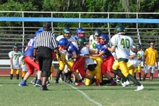 Enlarge photo 93