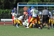 Enlarge photo 95