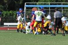 Enlarge photo 96