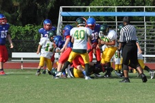 Enlarge photo 97