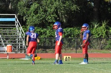 Enlarge photo 99