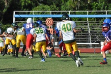 Enlarge photo 110
