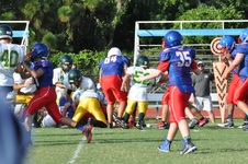 Enlarge photo 115