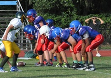 Enlarge photo 117