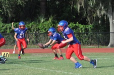 Enlarge photo 125