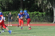 Enlarge photo 126