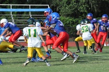 Enlarge photo 133