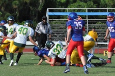 Enlarge photo 137