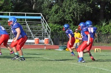 Enlarge photo 142