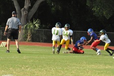 Enlarge photo 154