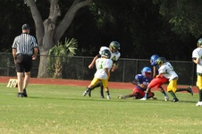 Enlarge photo 155