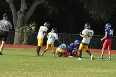 Enlarge photo 157