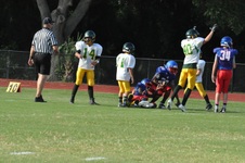 Enlarge photo 158