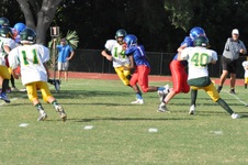 Enlarge photo 197