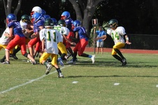 Enlarge photo 199