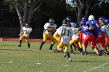 Enlarge photo 201
